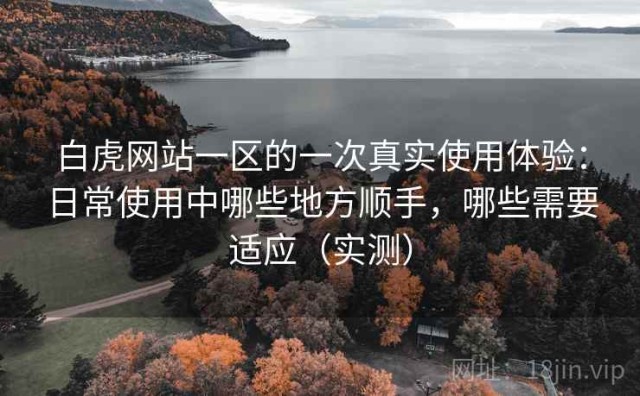 白虎网站一区的一次真实使用体验：日常使用中哪些地方顺手，哪些需要适应（实测）
