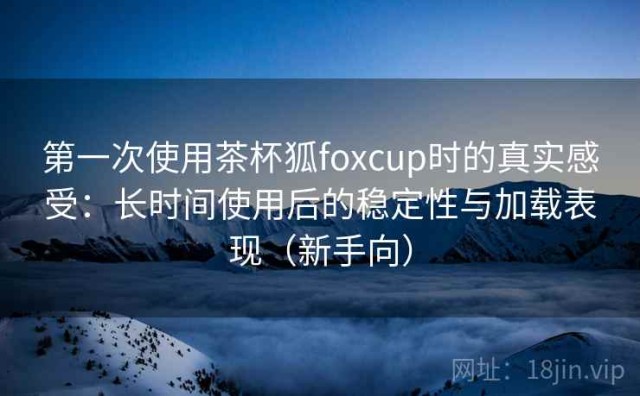第一次使用茶杯狐foxcup时的真实感受：长时间使用后的稳定性与加载表现（新手向）
