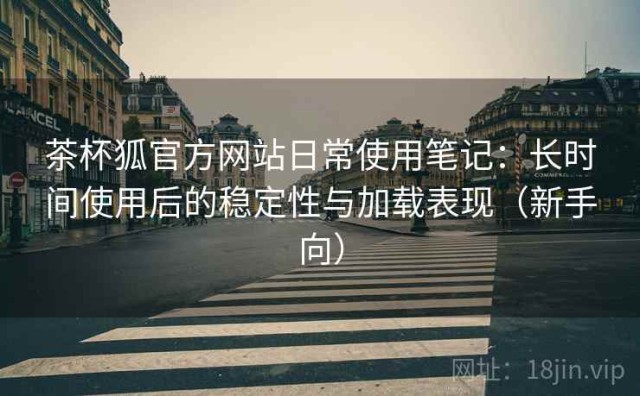 茶杯狐官方网站日常使用笔记：长时间使用后的稳定性与加载表现（新手向）