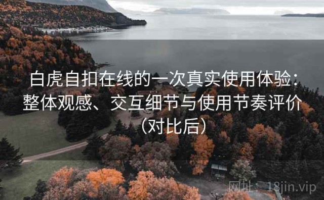 白虎自扣在线的一次真实使用体验：整体观感、交互细节与使用节奏评价（对比后）