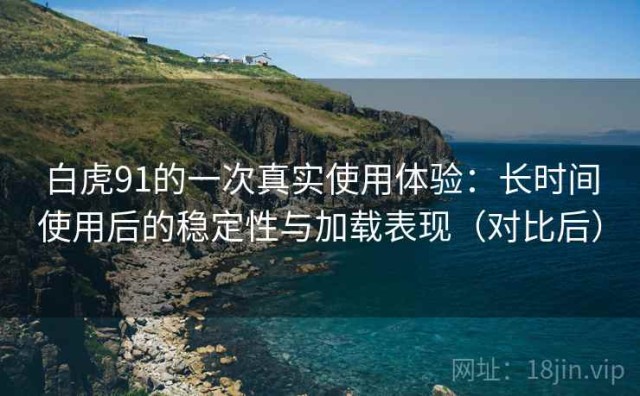 白虎91的一次真实使用体验：长时间使用后的稳定性与加载表现（对比后）