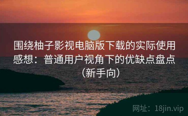 围绕柚子影视电脑版下载的实际使用感想：普通用户视角下的优缺点盘点（新手向）