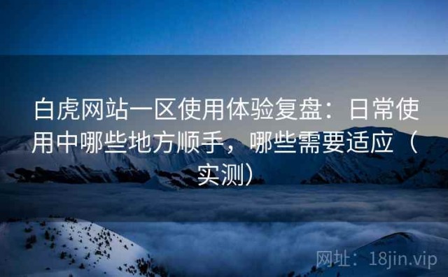 白虎网站一区使用体验复盘：日常使用中哪些地方顺手，哪些需要适应（实测）