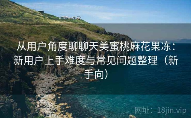从用户角度聊聊天美蜜桃麻花果冻：新用户上手难度与常见问题整理（新手向）