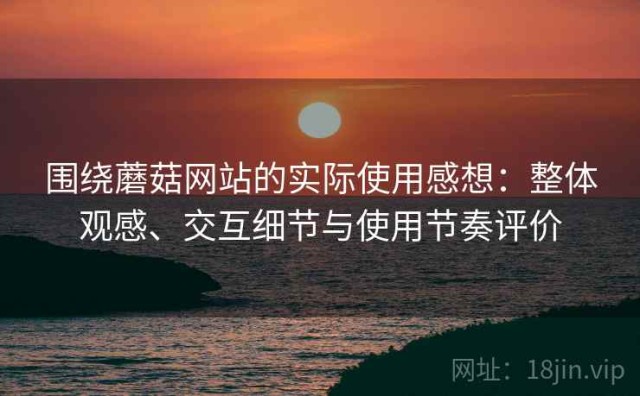 围绕蘑菇网站的实际使用感想：整体观感、交互细节与使用节奏评价