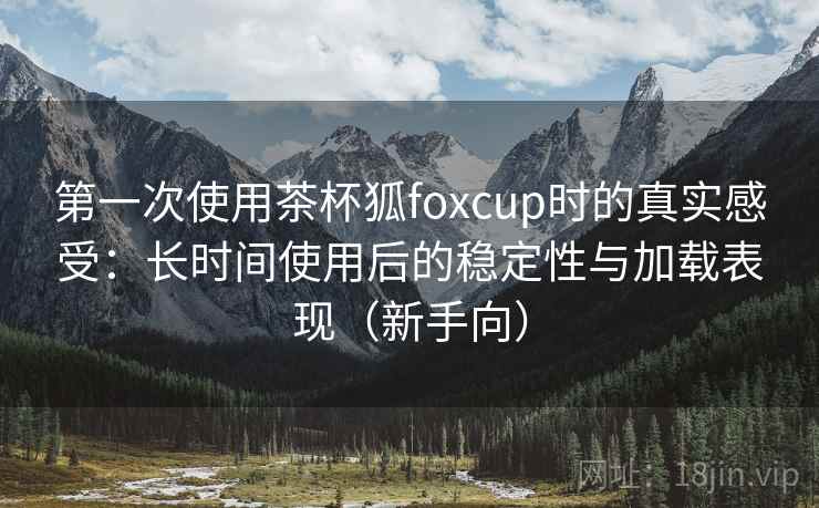 第一次使用茶杯狐foxcup时的真实感受：长时间使用后的稳定性与加载表现（新手向）