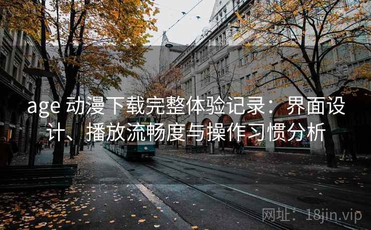 age 动漫下载完整体验记录：界面设计、播放流畅度与操作习惯分析