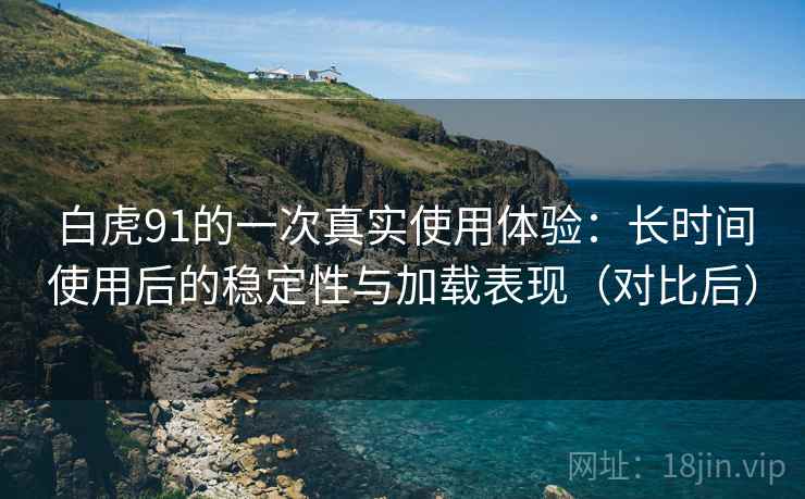 白虎91的一次真实使用体验：长时间使用后的稳定性与加载表现（对比后）