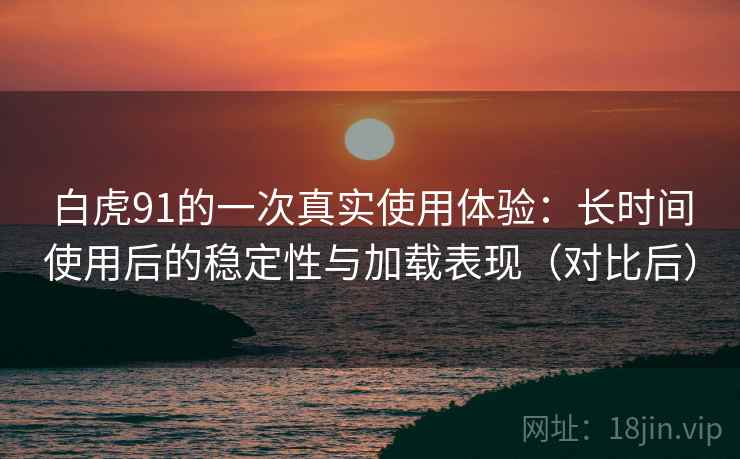 白虎91的一次真实使用体验:长时间使用后的稳定性与加载表现(对比后) 白虎91的一次真实使用体验:长时间使用后的稳定性与加载表现(对比后)