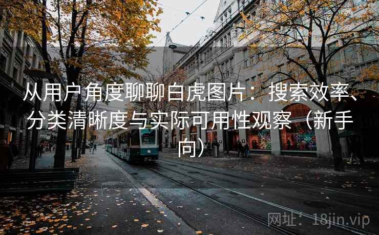 从用户角度聊聊白虎图片:搜索效率、分类清晰度与实际可用性观察(新手向) 从用户角度聊聊白虎图片:搜索效率、分类清晰度与实际可用性观察(新手向)