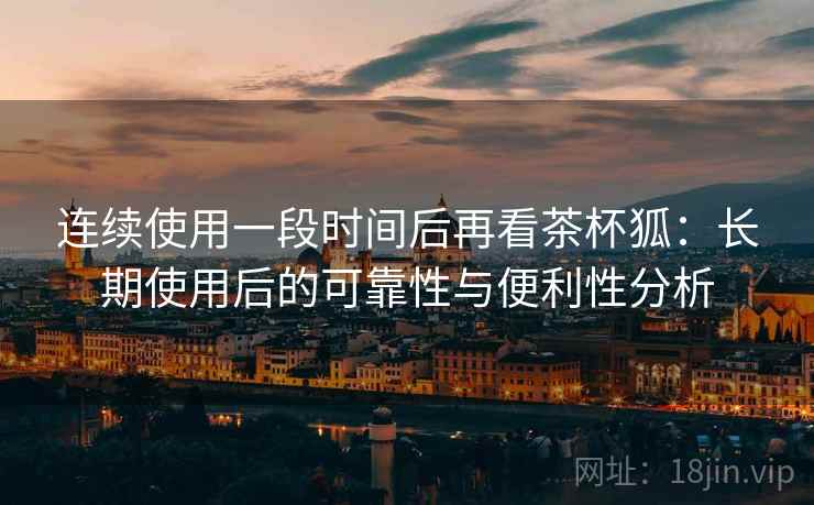 连续使用一段时间后再看茶杯狐：长期使用后的可靠性与便利性分析