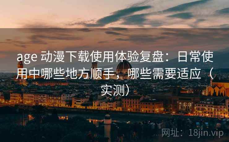 age 动漫下载使用体验复盘：日常使用中哪些地方顺手，哪些需要适应（实测）
