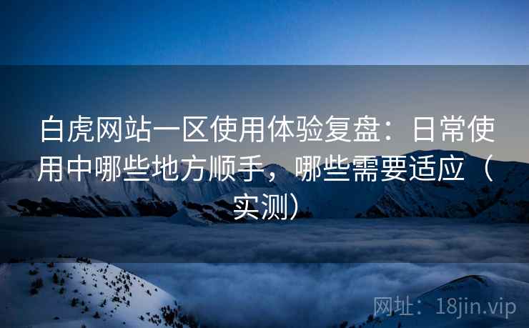 白虎网站一区使用体验复盘：日常使用中哪些地方顺手，哪些需要适应（实测）