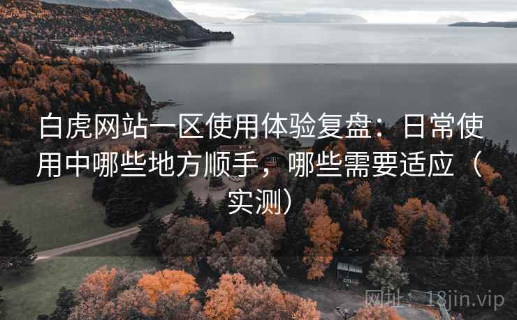 白虎网站一区使用体验复盘：日常使用中哪些地方顺手，哪些需要适应（实测）